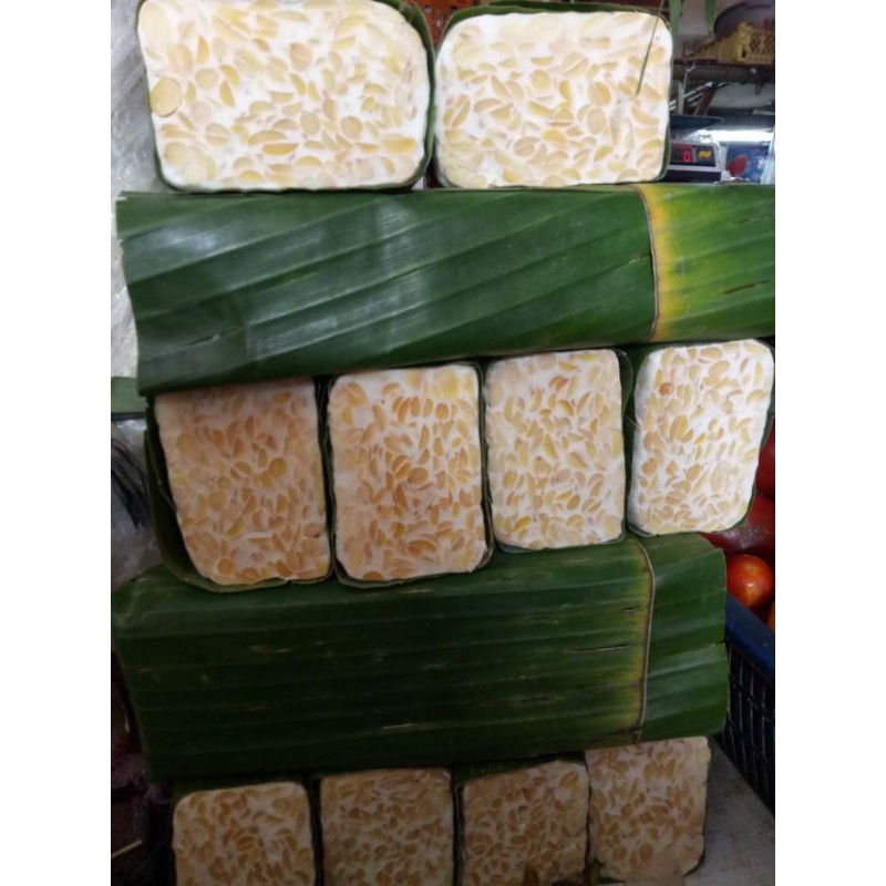 

tempe balok daun