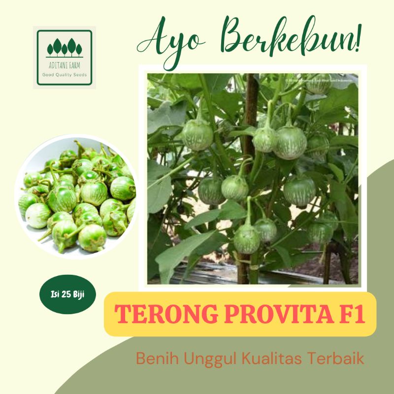 25 Biji | Benih Terong Bulat PROVITA F1 | Terong Lalap Repack Cap Panah Merah | Terong Kualitas Ungg