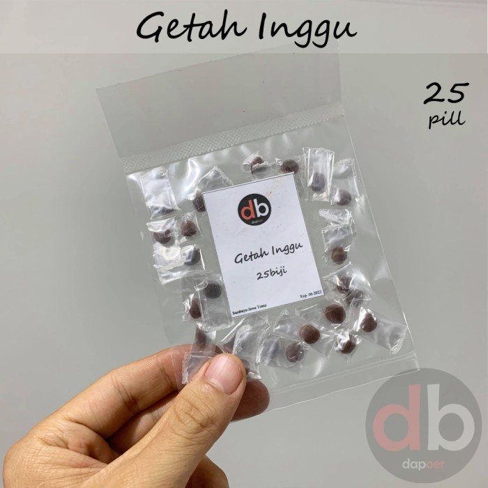 

Getah Inggu 25butir (BERKUALITAS)