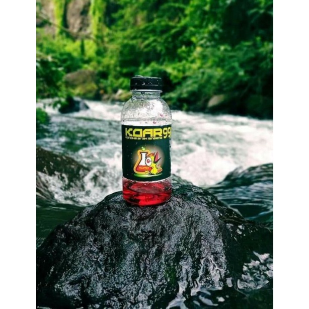 

KOAR99 | Doping & minuman tambahan pleci Koar99