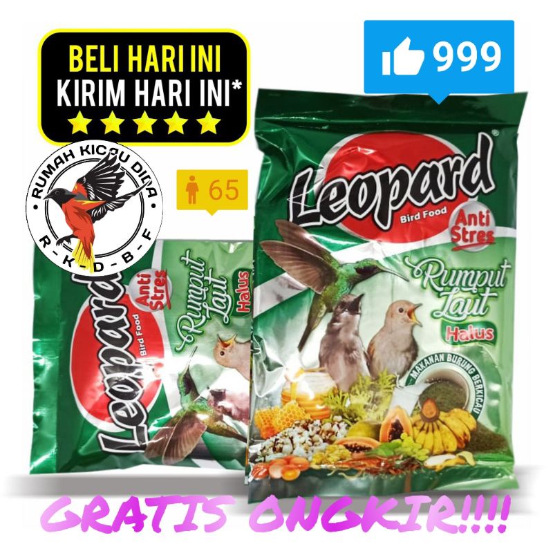 Leopard Hijau Halus// Voer Leopard Ijo Alus // Voer Leopard Rumput Laut