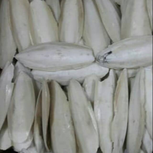 Sotong lovebird/sotong pakan lovebird/tulang sotong/tulang sotong pakan lovebird/asinan sotong 6rb