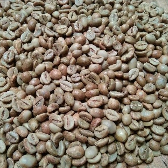 

Kopi Fine Robusta Petik Merah 1 kg