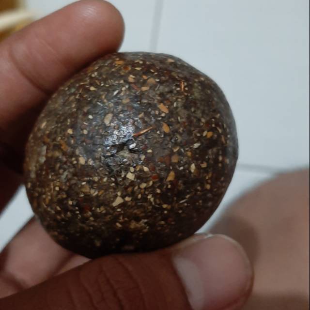 Obat herbal geliga landak 100% asli