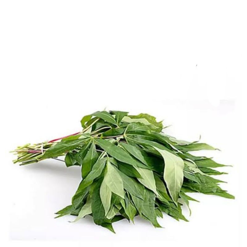 

SAYURSEGAR-Daun singkong/ubi