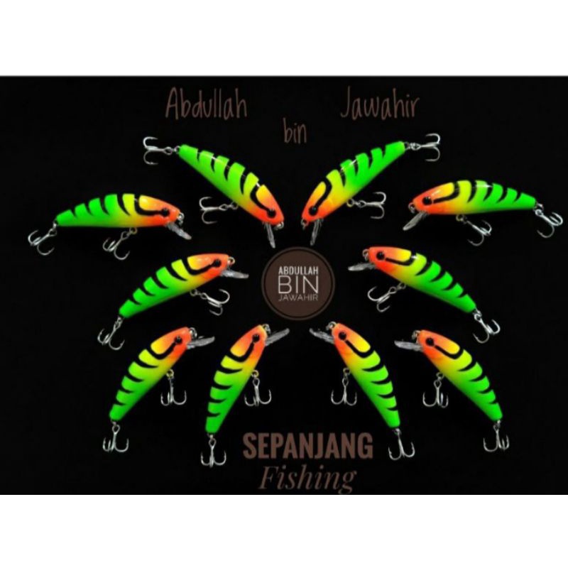 sinking minnow umpan pancing