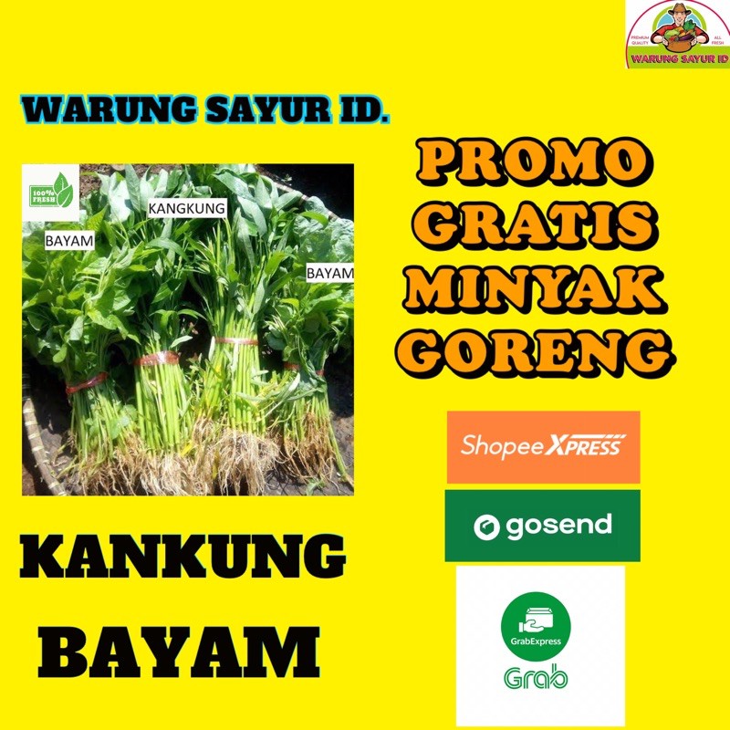 

SAYUR KANKUNG/BAYAR AKAR 1 IKAT BESAR