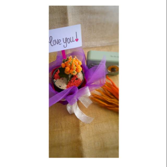 

Hampers kaktus