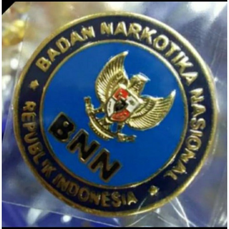 PIN BNN
