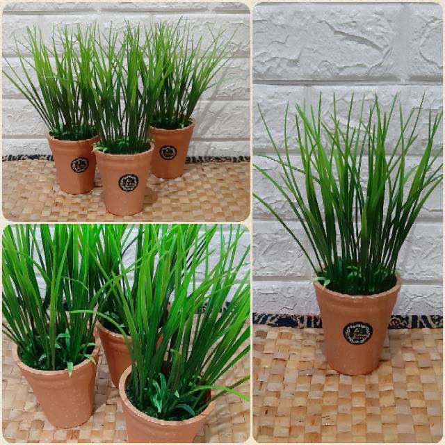 RUMPUT TEKI PLASTIK POT BATA PLASTIK TL01 | Shopee Indonesia