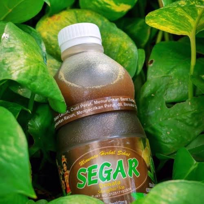

SEGARDEWATA BAKAR LEMAK TEH HERBAL DETOKS TEA