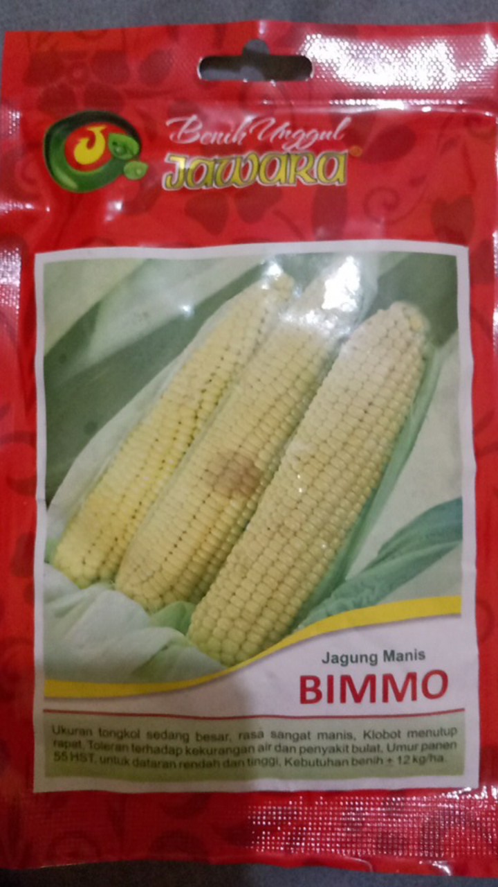 Isi 50 Gram Bibit Jagung Manis Bimmo | Benih Jagung | Biji Jagung Manis | Bibit Unggul