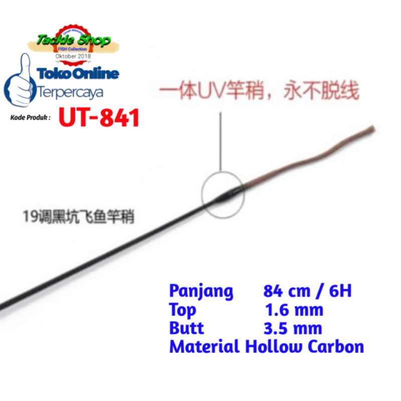Ujung Tegek 6H Hollow Carbon 84cm Import    UT-841