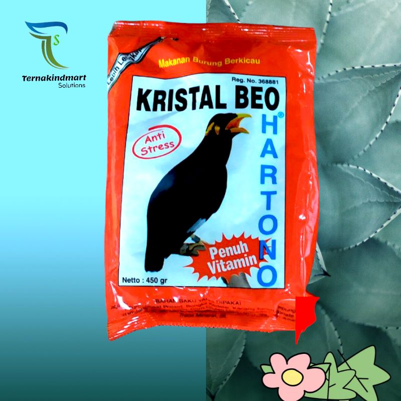 Pakan Beo Kroto Kristal Beo