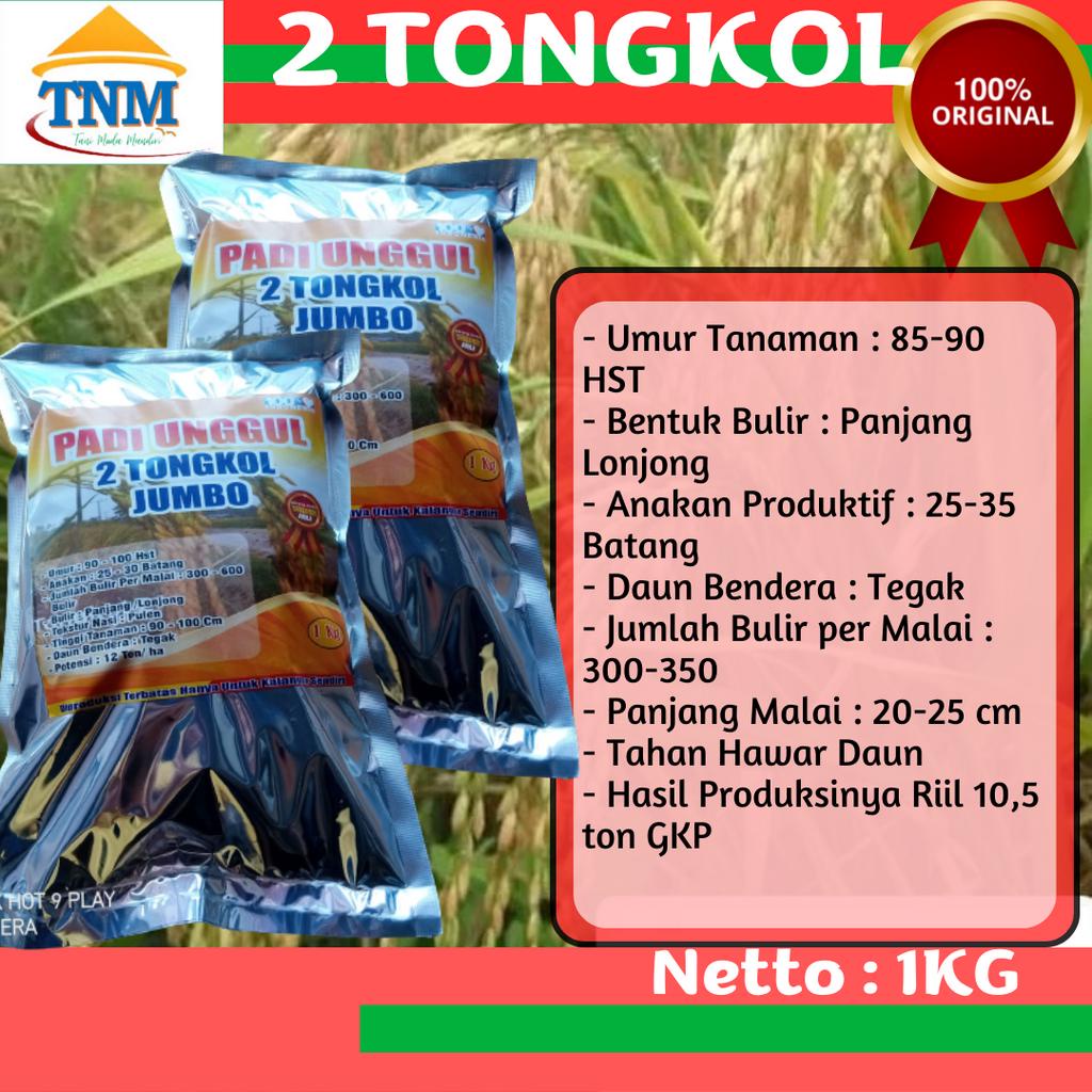 Biji Padi  2 Tongkol Premium 1KG