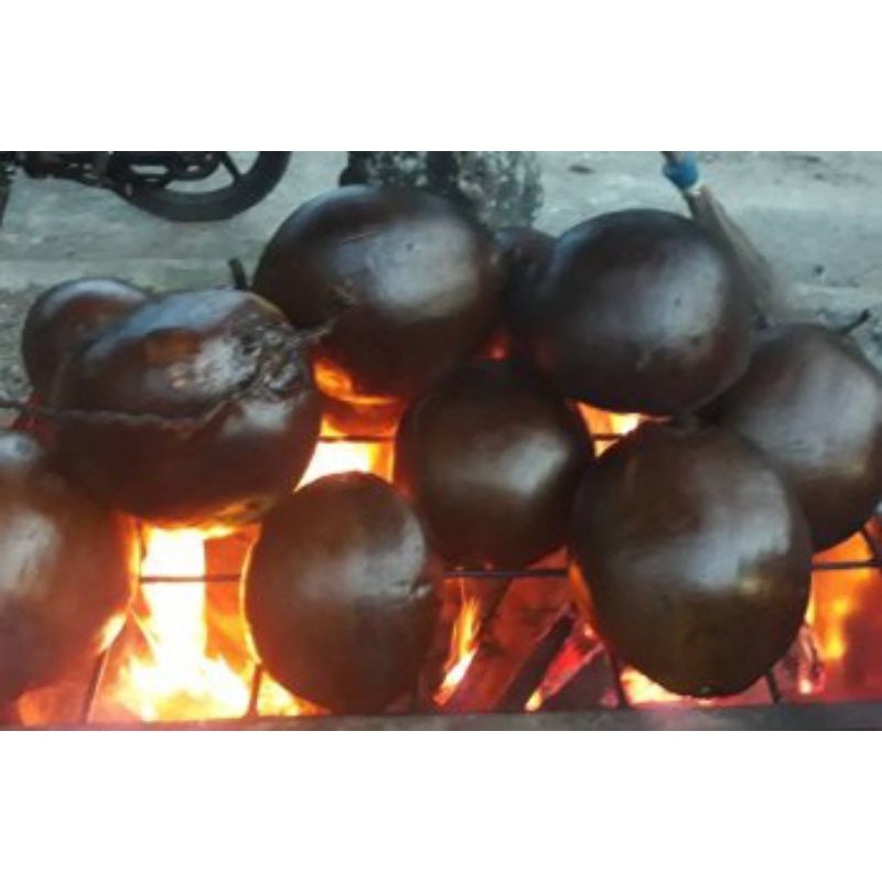 

kelapa muda bakar. satuan.