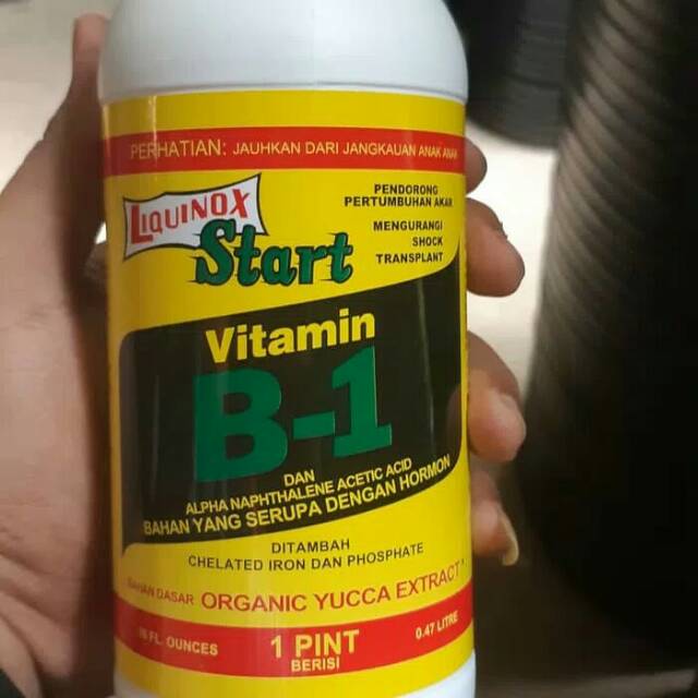 vitamin B1  Liquinox hormon pupuk  tanaman Shopee Indonesia