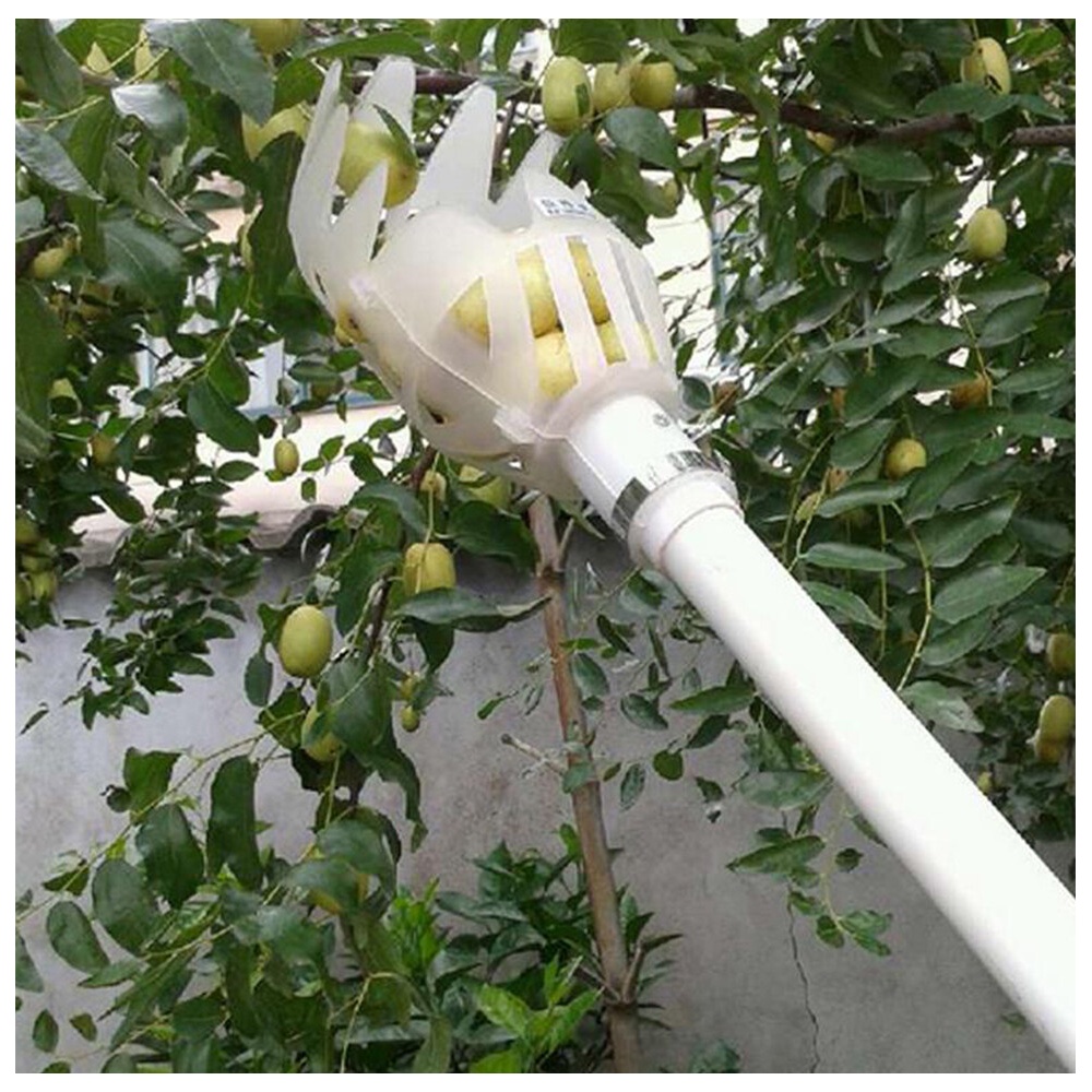 Alat Pemetik Buah Sekop Petik Buah Garden Fruit Picker