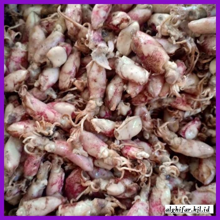 

Makanan-Kering- Ikan Asin Baby Cumi Bk Per 500Gram -Aneka.