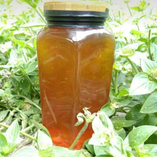 

Madu yaman sidr malaky (raja)
