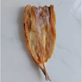 

ikan gabus