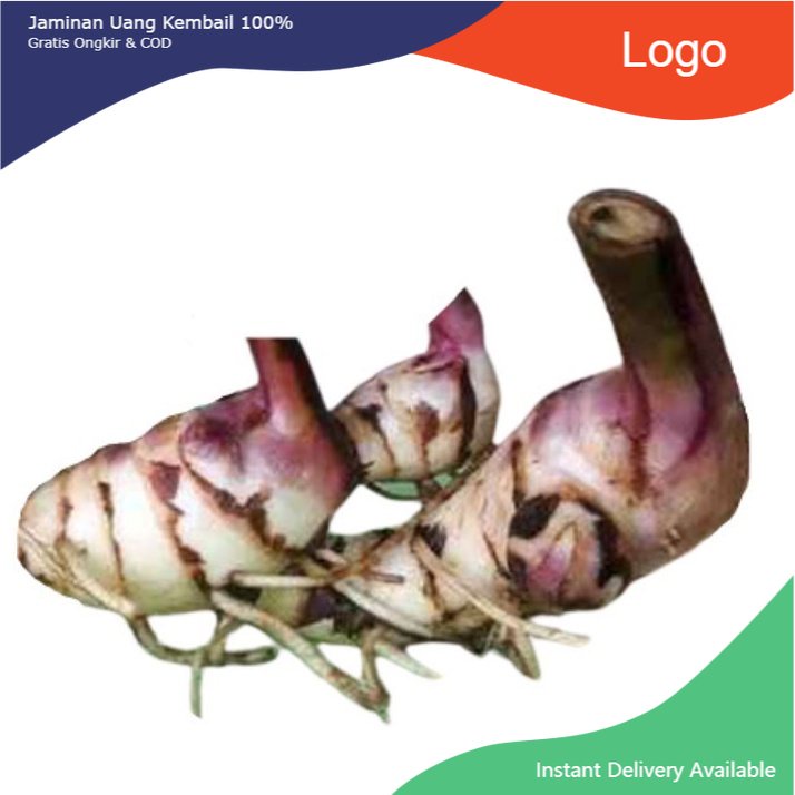 

Promo Umbi Ganyong Merah 500gram