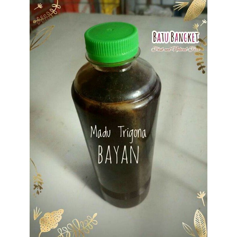 

(HIGH QUALITY) MADU TRIGONA Klanceng Lenceng 500ml MURNI BAYAN LOMBOK PALING KENTAL