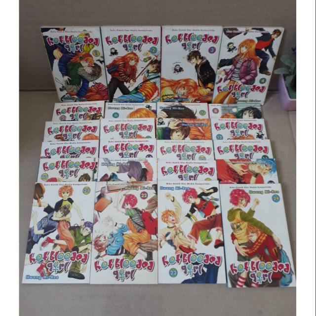 hot blooded girl 1-24end