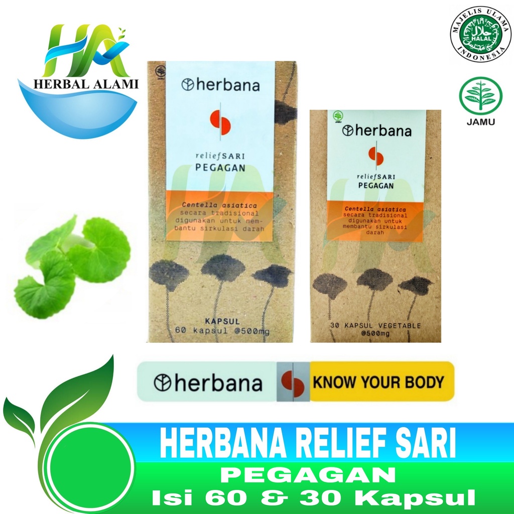 Herbana Relief Sari Pegagan - Herbana Kapsul Membantu Sirkulasi Darah