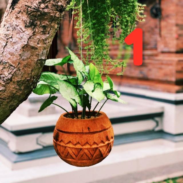 Pot Gantung Kelapa Ukir Style Bali