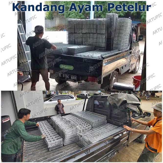 BELAKANG SAJA untuk Kandang Ayam Petelur ARTUPIC Baterai Kandang