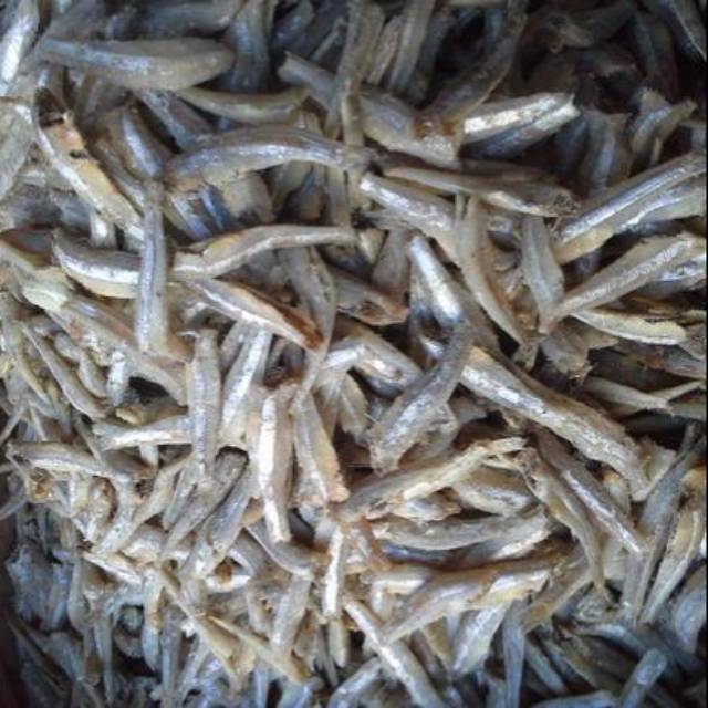 

Ikan teri jengki bungus