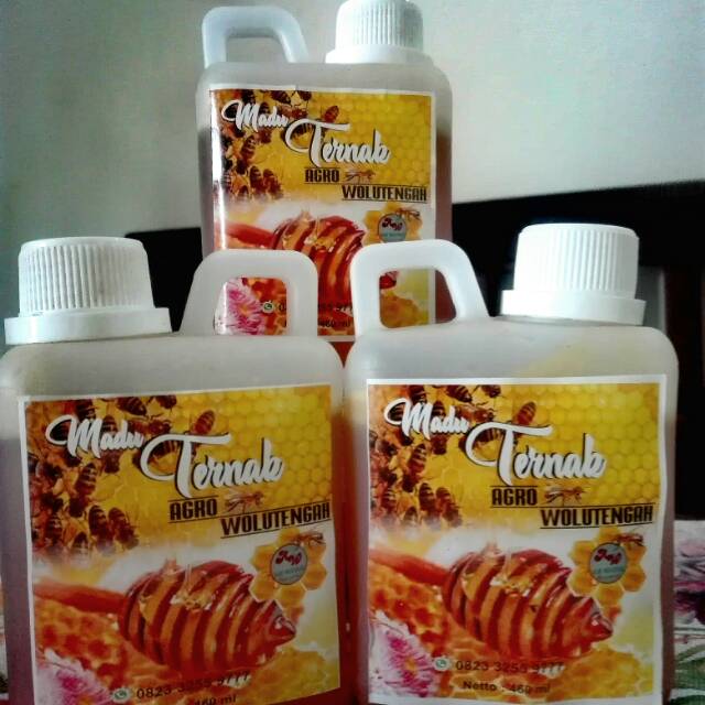 

Madu ternak asli