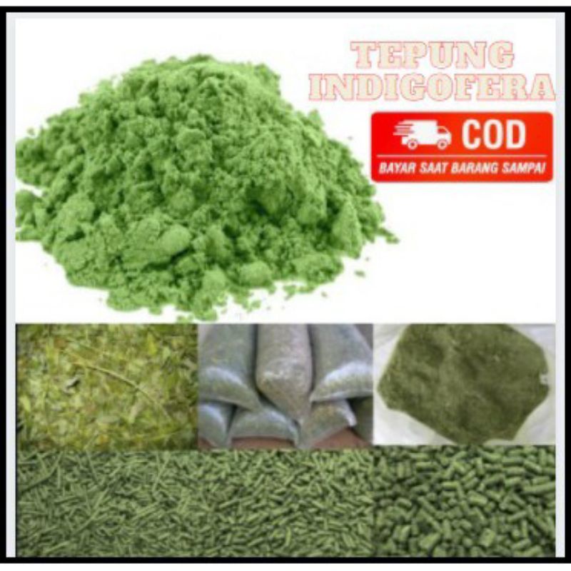 TEPUNG INDIGOFERA / FULL 1KG /PAKAN TERNAK