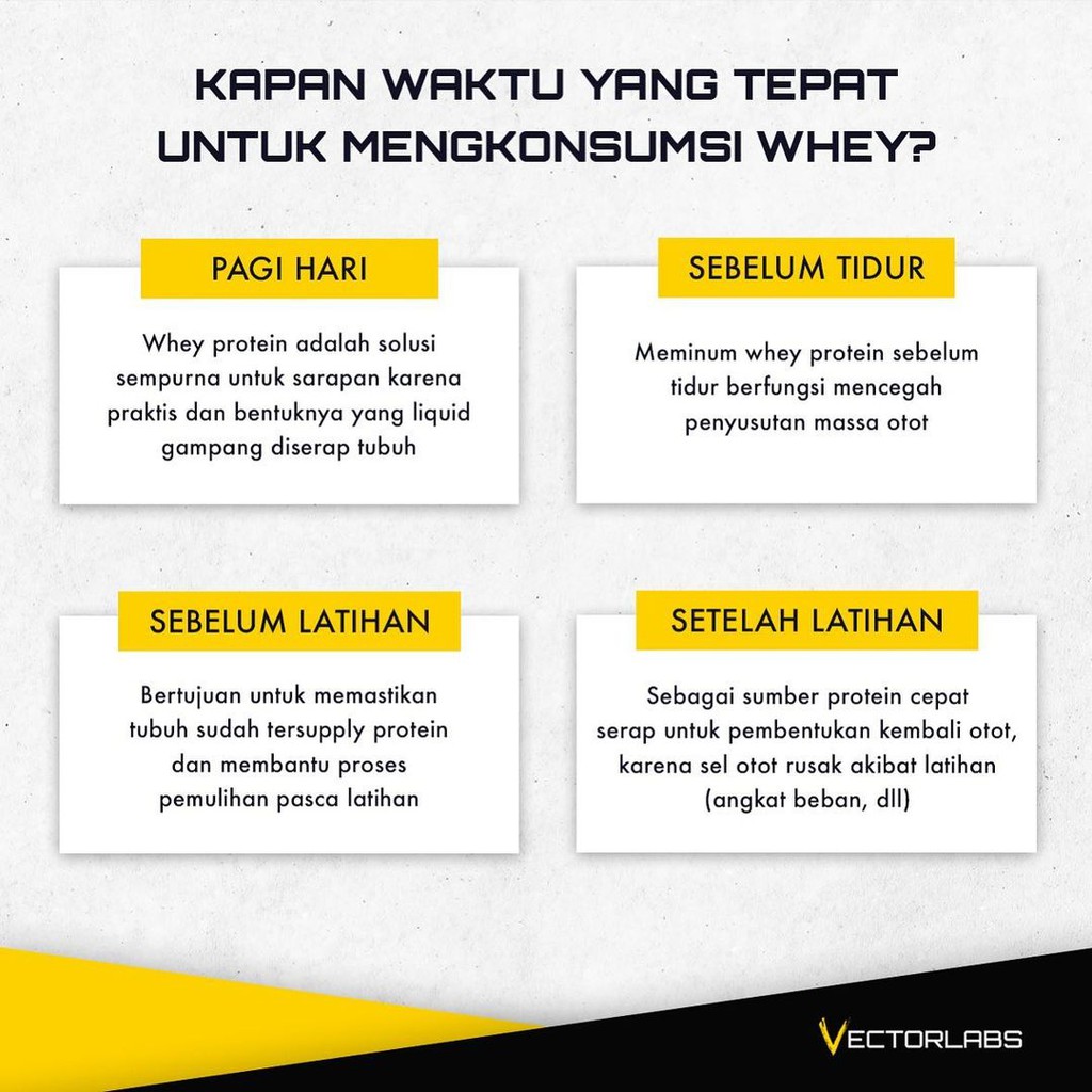Vectorlabs Master Whey 12 Sachet Suplemen Susu Protein Whey Isolate Concentrate