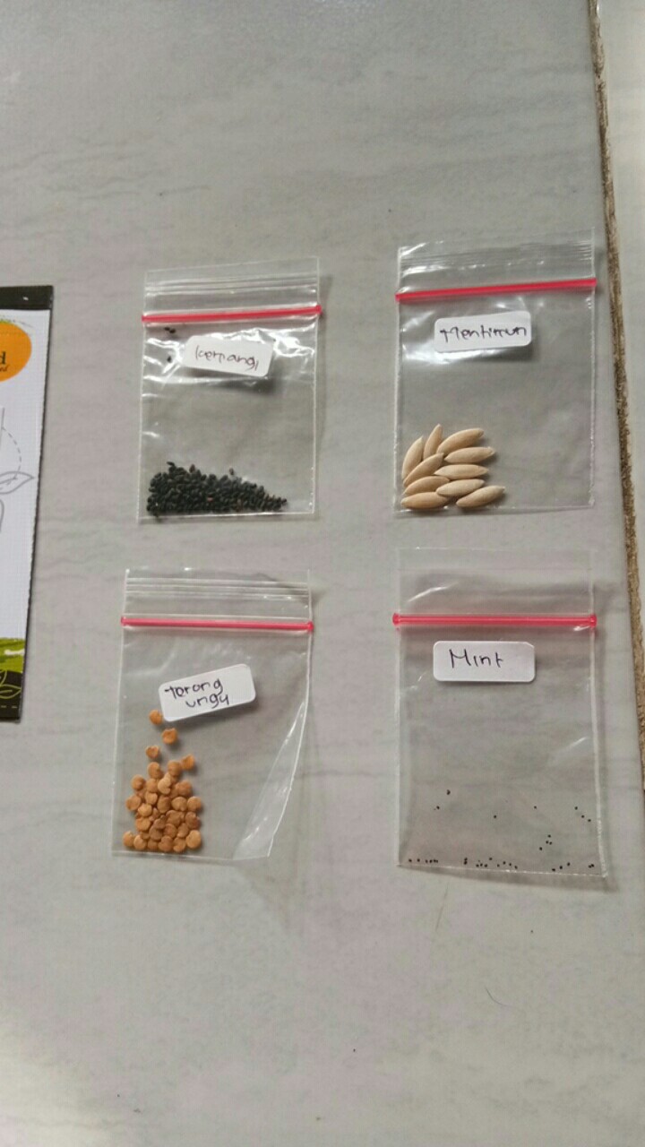50 Benih Kemangi Repack