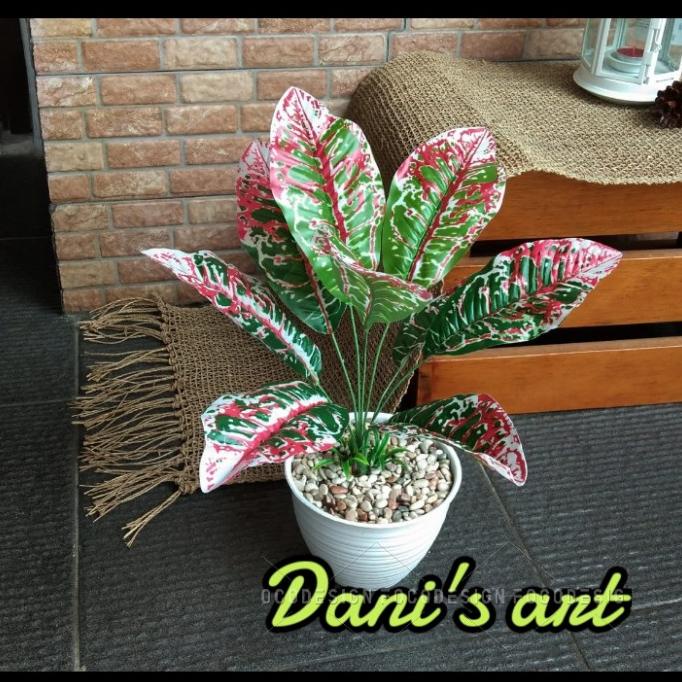 Tanaman keladi palsu/ tanaman hias/ Daun hijau/keladi artificial