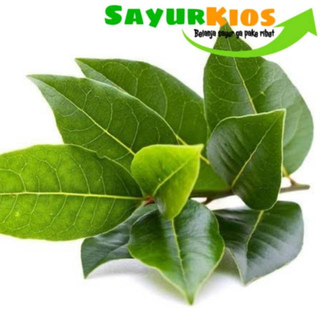 

Daun salam 50 gr