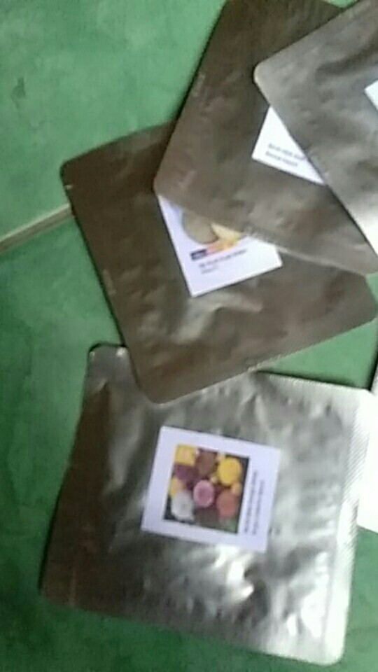 Biji Benih Buah Melon Alina F1