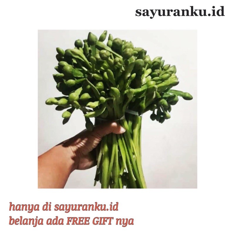 

genjer per ikat sayur segar sayuran fresh pasar murah pasar jakarta