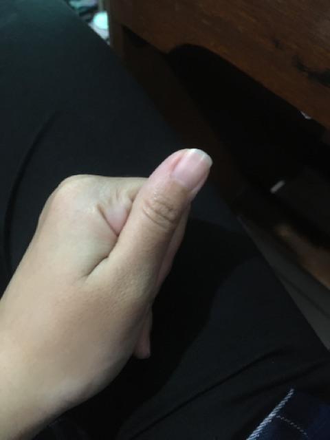 Keranjang Plastik Kupu - Kupu