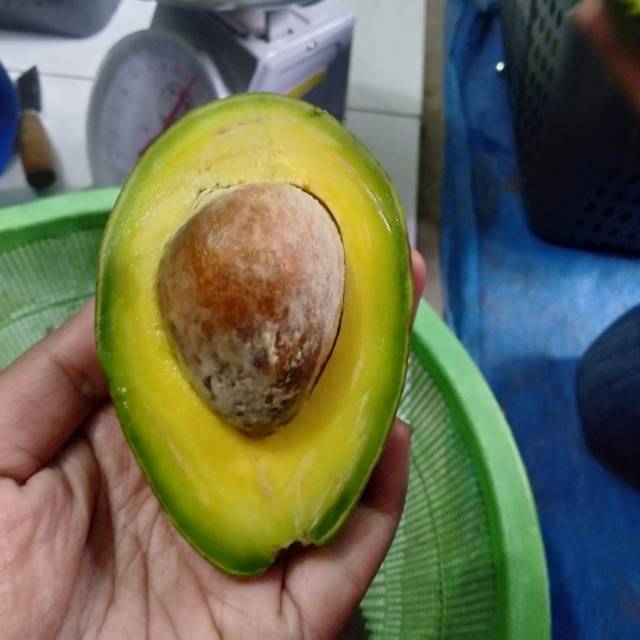 

Alpukat Mentega Bogor Barat
