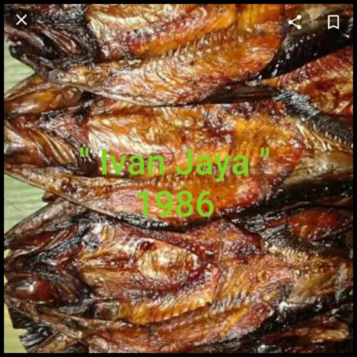 

Ikan Saleh Salai Limbad Asap Sidempuan 500Gram