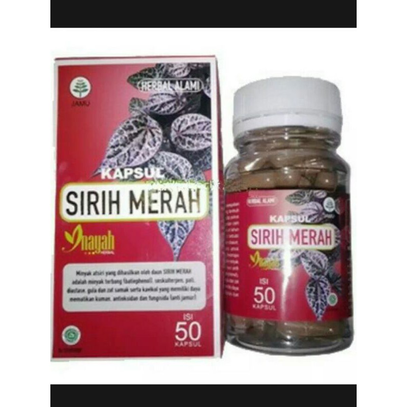 kapsul sirih merah