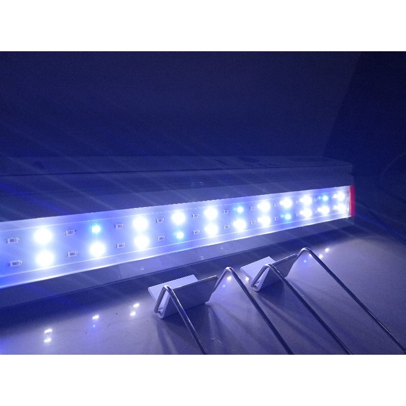 PROMO MURAH LAMPU LED AQUARIUM aquascape arwana HIKARI P 50LED 3X