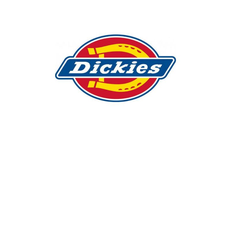 Poster Dinding Aesthetic Poster Anime Punk Metal Poster Brand Dickies Original Premium