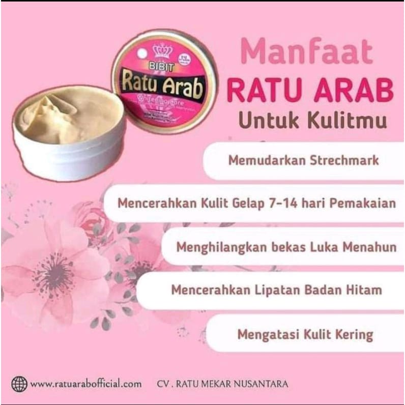 TERMURAH BIBIT RATU ARAB PEMUTIH ORIGINAL BISA BAYAR DI TEMPAT