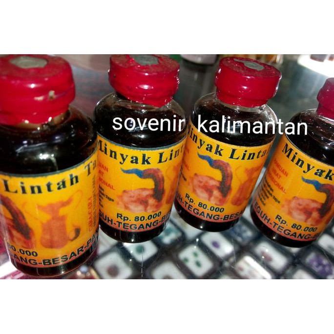 minyak lintah tapa kalimantan