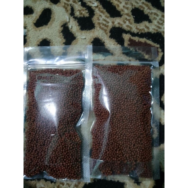 Hikari blood red parrot