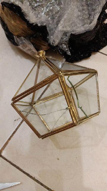 Tempat Cincin Terrarium